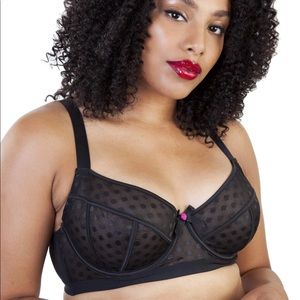40C Gabi Fresh Playful Promises black polkadot bra
